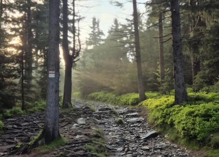 Sowi Przystanek Pieszyce