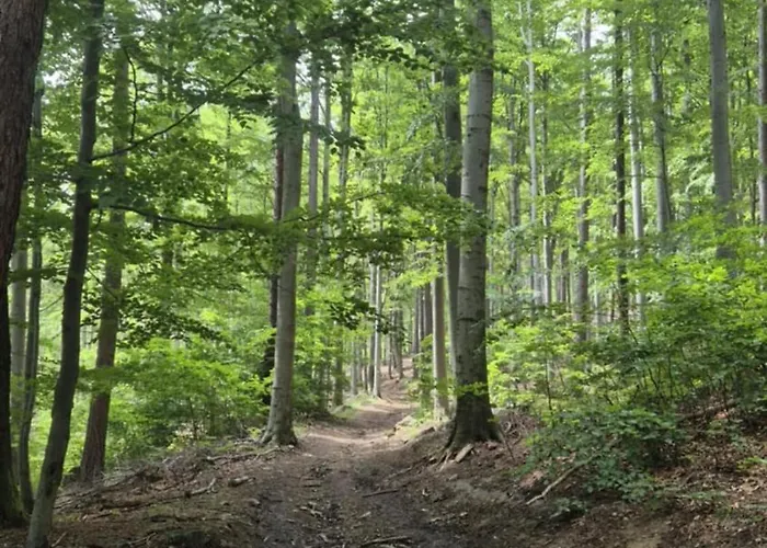 Sowi Przystanek * Pieszyce