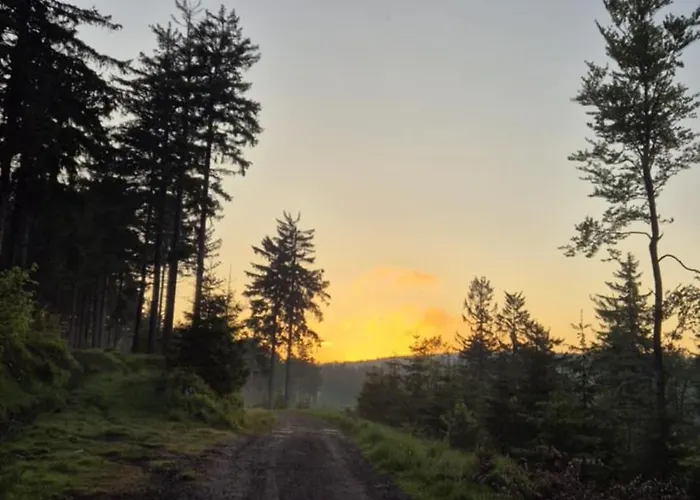 Apartment Sowi Przystanek *