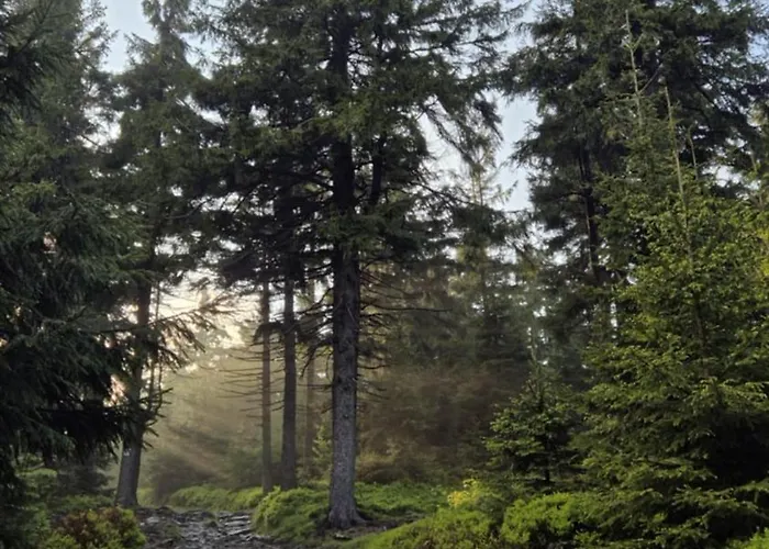 Sowi Przystanek * Pieszyce