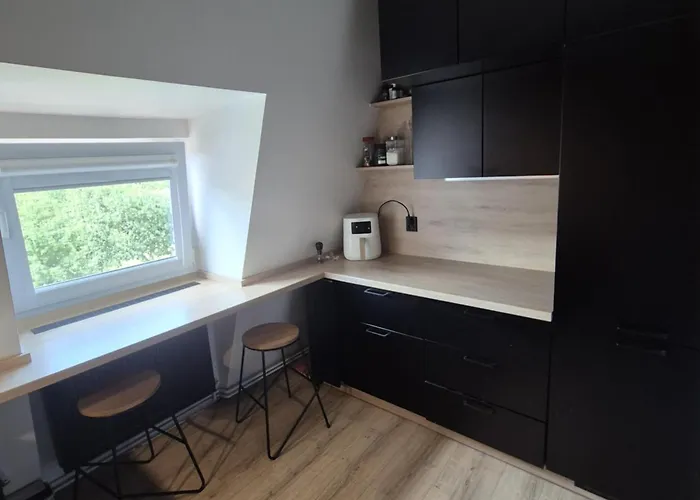 Sowi Przystanek Apartment *